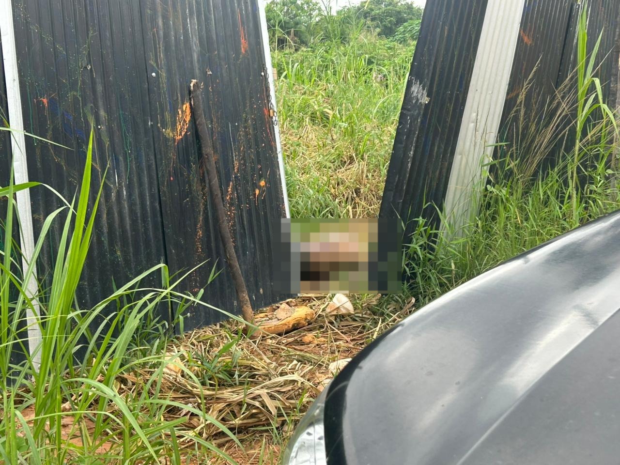 Mau cheiro leva à descoberta de corpo em terreno baldio no Tarumã