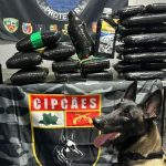 PM apreende óleo de maconha e mais de 35 kg de drogas em embarcação no AM