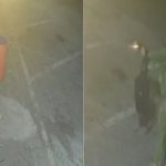 VÍDEO: Mulher é executada em ataque com cerca de 100 tiros de pistola e fuzil