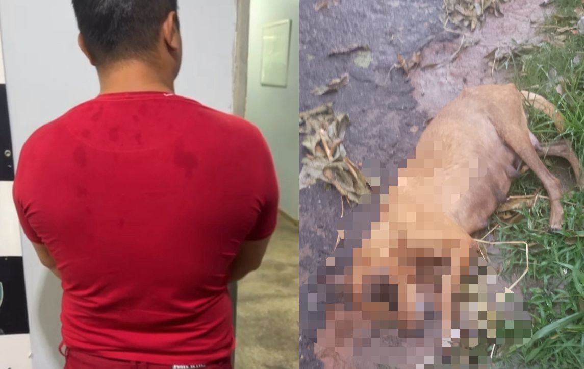 Homem é preso por atirar em cachorros com arma de pressão em Coari