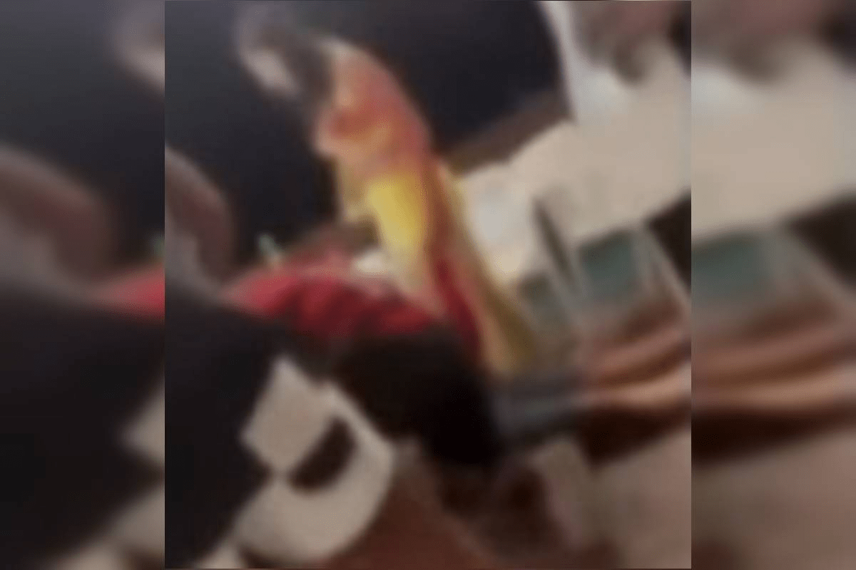 Turista é morto a tiros em restaurante de Porto de Galinhas