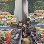 Cão policial encontra 47 kg de drogas em embarcação no interior do AM