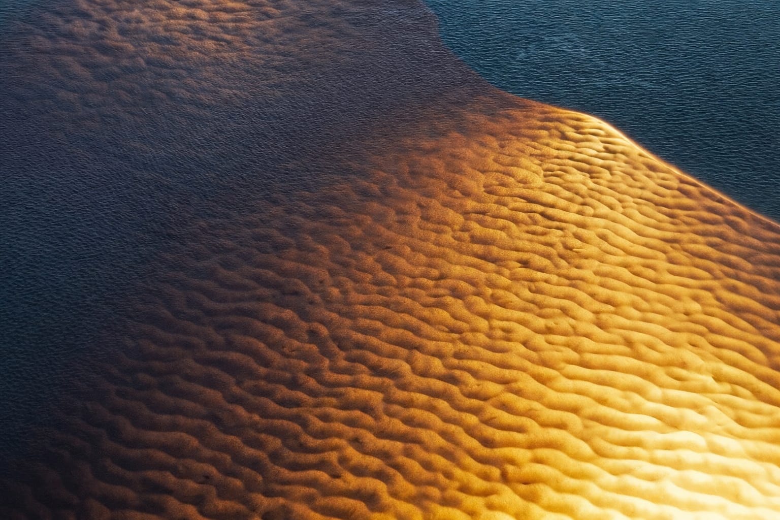 Exposição ‘Segredos Amazônicos’ em Shopping de Manaus