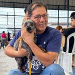 Leis mais duras, crimes persistentes: a violência contra animais no Amazonas