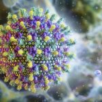 Brasil não tem casos de vírus Nipah, afirma Ministério da Saúde