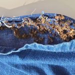 Irmãos são presos por levar drogas na costura de bermudas para delegacia no Amazonas