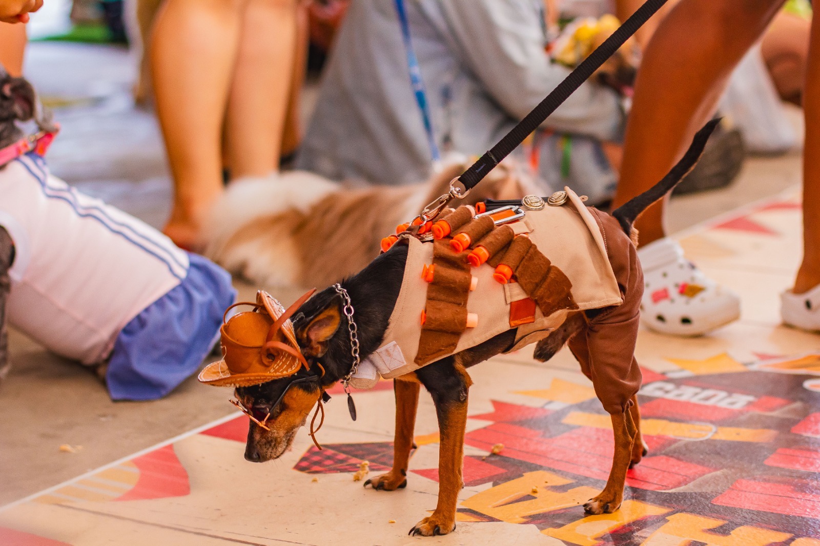 CarnaPet Super Nova abre inscrições para concurso pet em Manaus