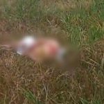 Corpo com sinais de tortura é encontrado no bairro Puraquequara, zona Leste de Manaus