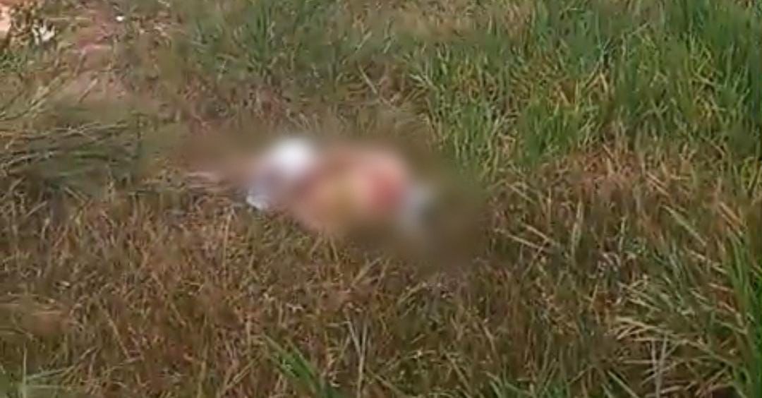 Corpo com mãos e pés amarrados é encontrado no Puraquequara