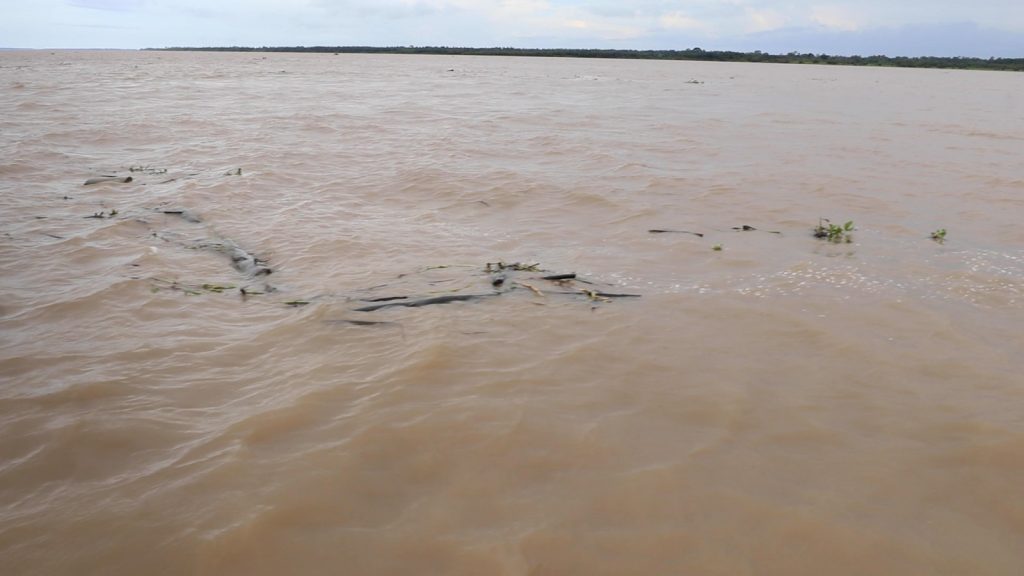 Número de desaparecidos em naufrágio no AM cai para cinco