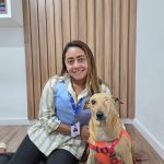 Chuvas intensas exigem cuidados redobrados com pets