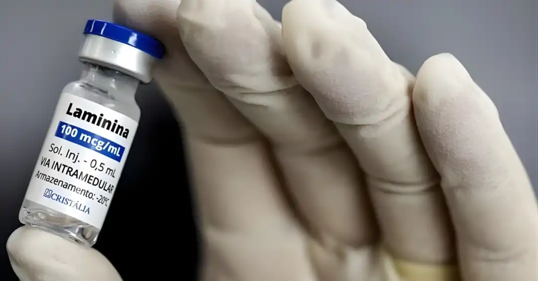 Laminina: quando a ciência devolve movimento e esperança