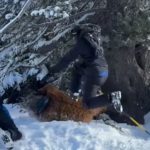 VÍDEO: Vestido de Chewbacca, brasileiro é espancado em estação de esqui na França