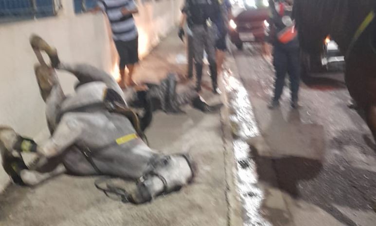 VÍDEO: Cavalo e policial caem após animal se assustar e bater em poste em Manaus