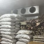 Frigorífico de pescado de Manacapuru é multado em R$ 2 milhões por irregularidades