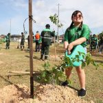 Manaus lidera ranking ambiental entre capitais brasileiras em 2025