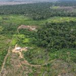 Ipaam autua três pessoas e aplica mais de R$ 1,7 milhão em multas em Humaitá