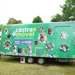 Mais de mil animais foram castrados em janeiro deste ano no Amazonas