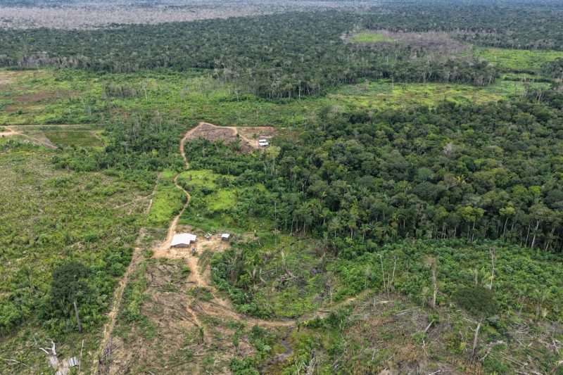 Ipaam autua três pessoas e aplica mais de R$ 1,7 milhão em multas em Humaitá