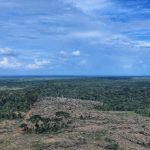 Ipaam embarga área desmatada equivalente a 49 campos de futebol no Amazonas