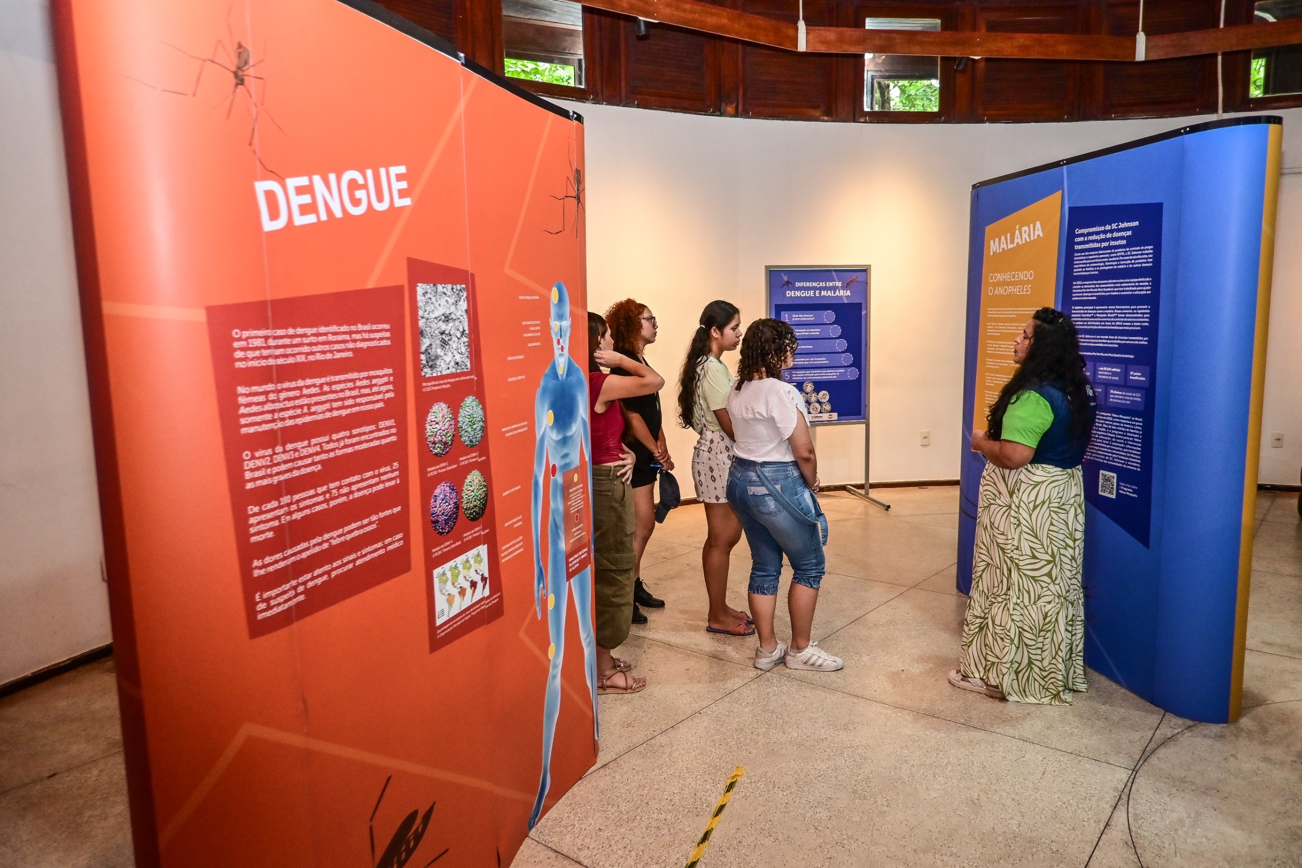 Exposição sobre mosquitos é prorrogada no Bosque da Ciência