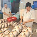 Procura por peixes cresce 40% durante a Quaresma em Manaus