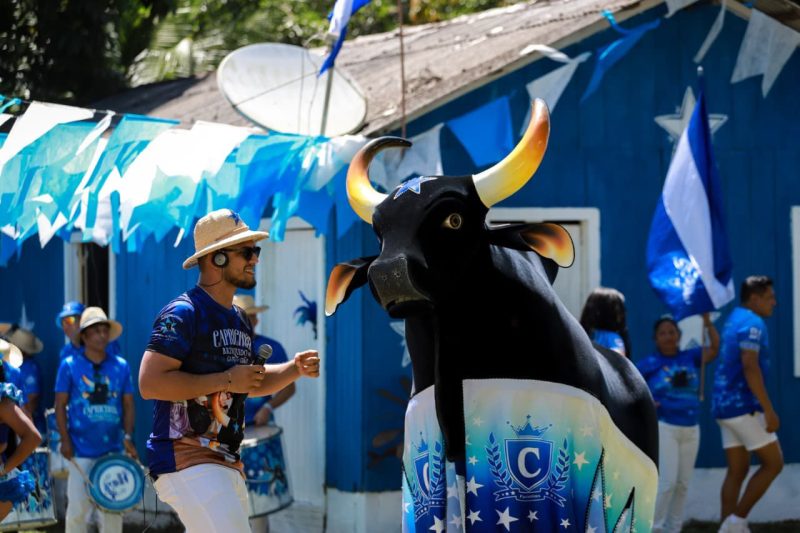 Boi Caprichoso lança sete toadas do álbum 2026 para o Festival de Parintins