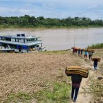 Safra de borracha amazônica gera renda para 600 famílias