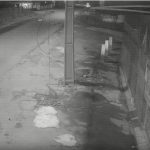 Vídeo mostra momento em que motorista foge após matar homem atropelado no Tarumã