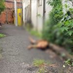 VÍDEO: Corpo de homem é encontrado em beco em Manaus