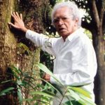 Eu vi um ‘semideus’ chorar em Parintins…