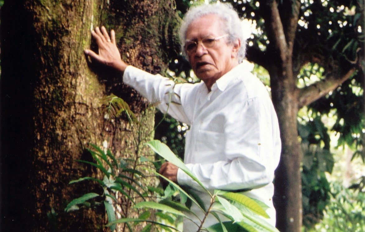 Eu vi um ‘semideus’ chorar em Parintins…