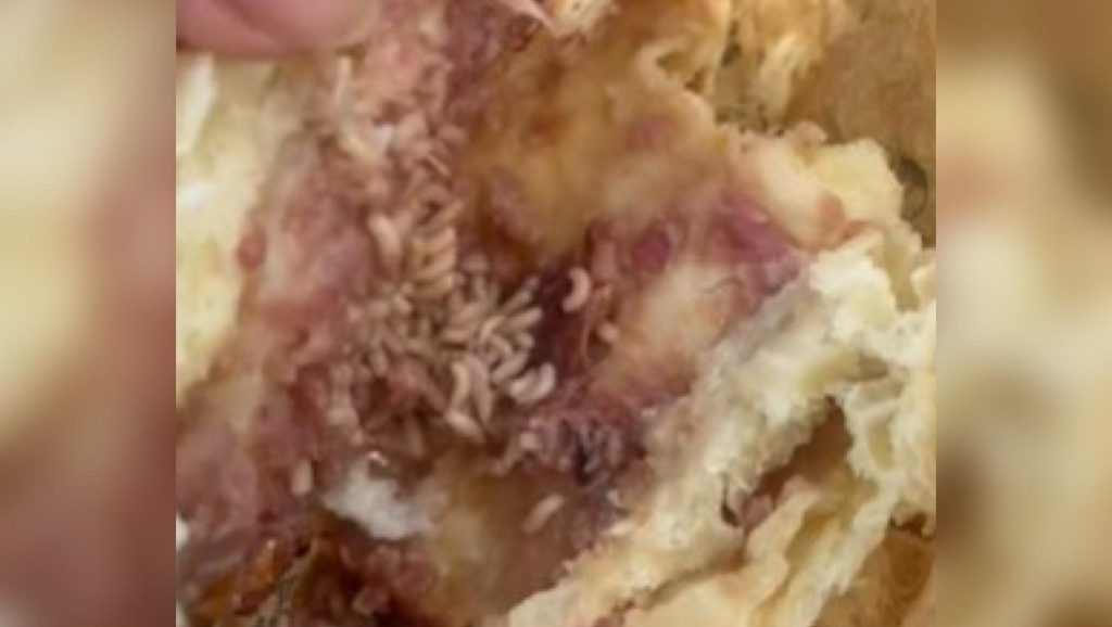 Mulher encontra larvas vivas em salgado comprado em padaria de Manaus