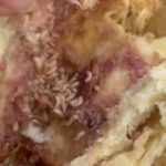 VÍDEO: Padaria é alvo de denúncia após cliente comer salgado recheado de tapuru em Manaus