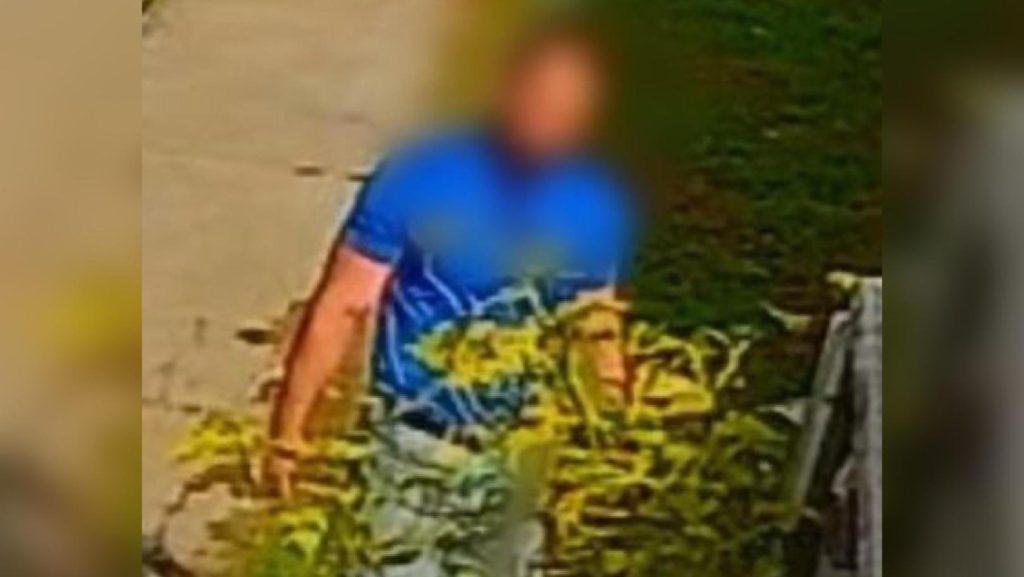 Homem que espancou gato com socos e o arremessou contra mureta é preso em Brasília