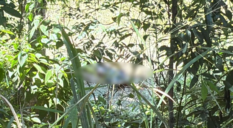 VÍDEO: Corpo com pés amarrados é encontrado em terreno no Distrito Industrial
