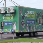 Sepet oferece 300 vagas para castração de animais no bairro Cidade de Deus