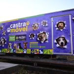 Mega Castração Amazonas quer atender 2 mil animais