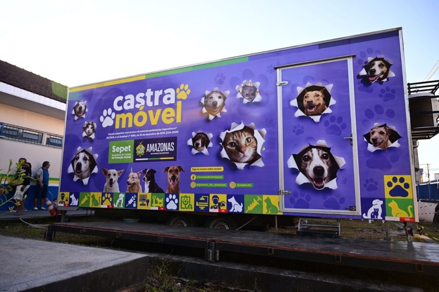 Mega Castração Amazonas quer atender 2 mil animais