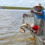 Pesca do mapará mobiliza mais de mil pescadores no Careiro da Várzea