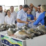 Governador Wilson Lima inicia entrega de 470 toneladas de peixe e reforça segurança alimentar na Semana Santa