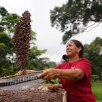Mulheres produzem chocolate a partir da produção orgânica do cacau
