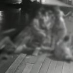 Suspeito é preso por matar homem ao empurrá-lo de flutuante durante briga por isqueiro no AM