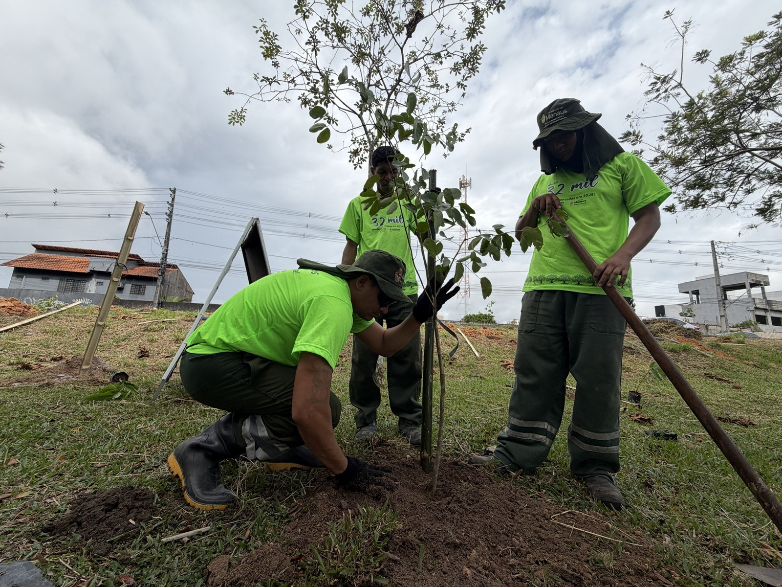 Arborização de Manaus avança com 13,4 mil mudas plantadas