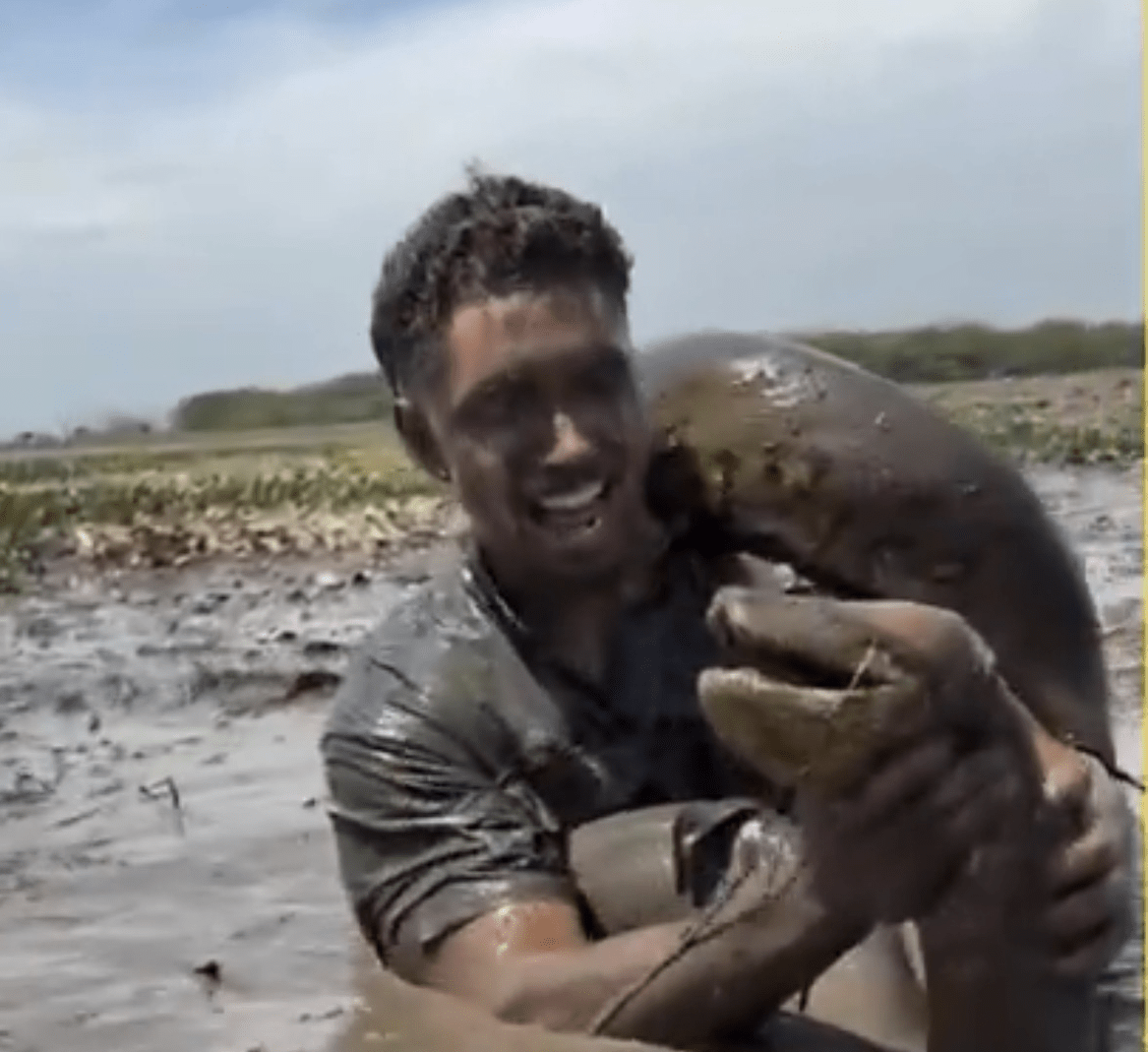 Vídeo: Homem desafia sucuri gigante e passa por momento de pânico