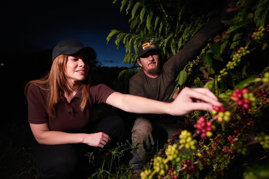 Sul do Amazonas tem potencial agrícola, afirma Dra. Aryel Almeida
