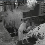 VÍDEO: Ataque de fúria de hóspede embriagada termina em agressão à idosa em pousada