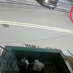 Emboscada a tiros deixa dois feridos no interior do Amazonas