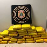 Passageiro tenta embarcar com 37 kg de maconha em malas com pimenta no aeroporto de Manaus