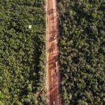 Justiça suspende licitações para obras na BR-319 por risco ambiental no Amazonas